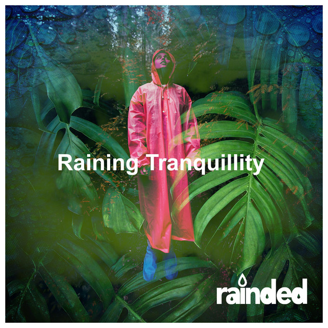 Raining Tranquillity cover art