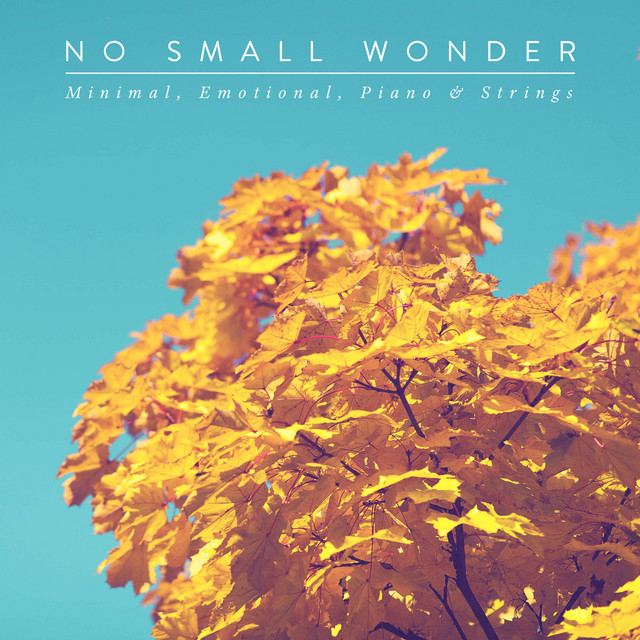 No Small Wonder cover art