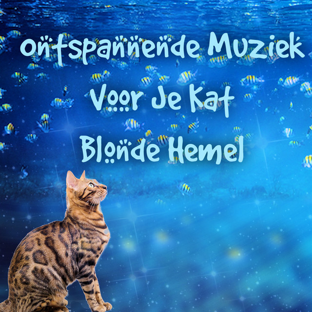 Ontspannende Muziek Voor Je Kat cover art