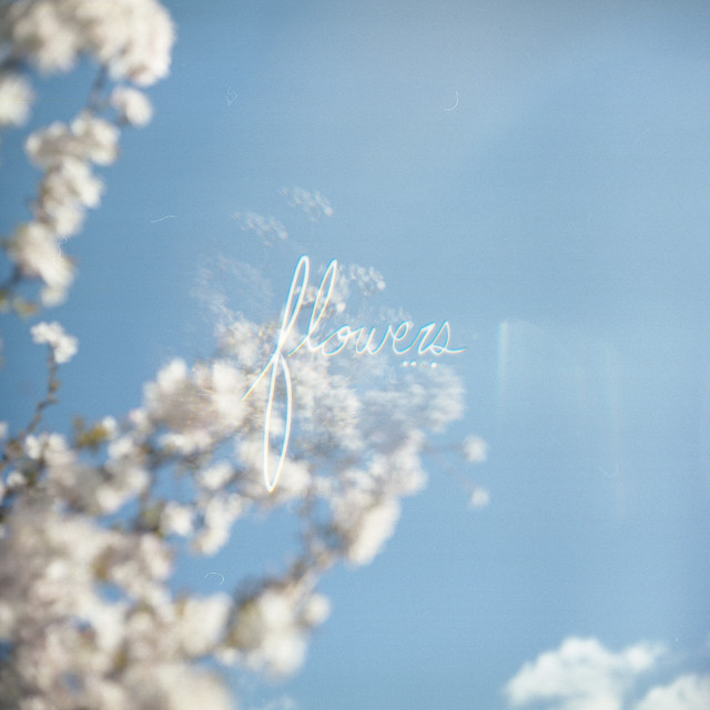 Flowers cover