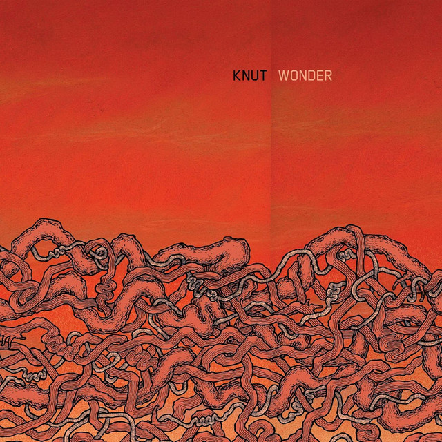 Wonder cover art