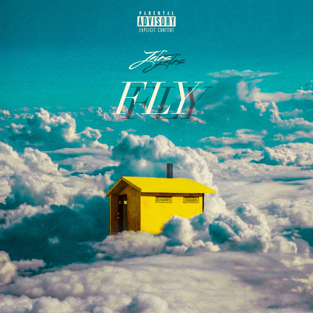 Fly cover art