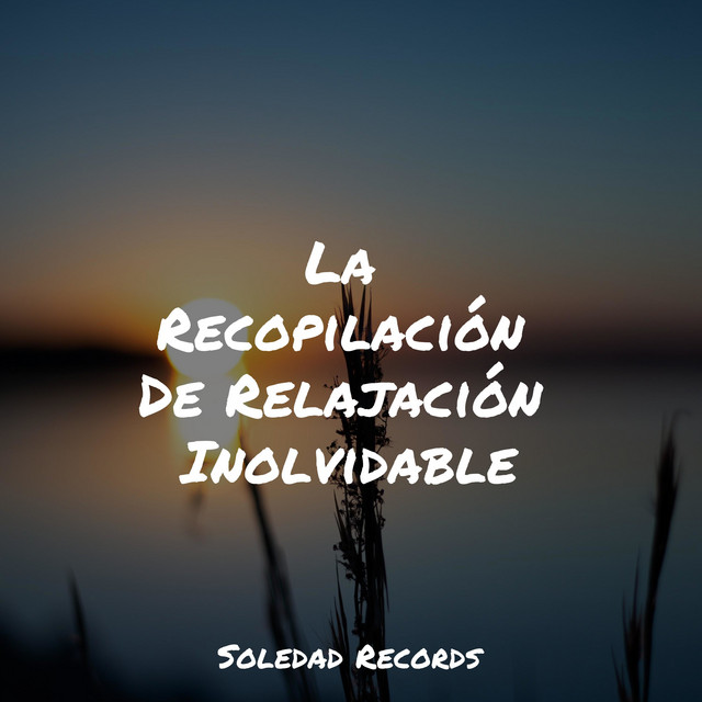 Cover of La Recopilación De Relajación Inolvidable by Canciones Para Niños