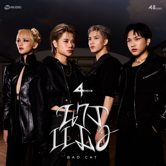 นางเเมว (BAD CAT) [411 Project] album image
