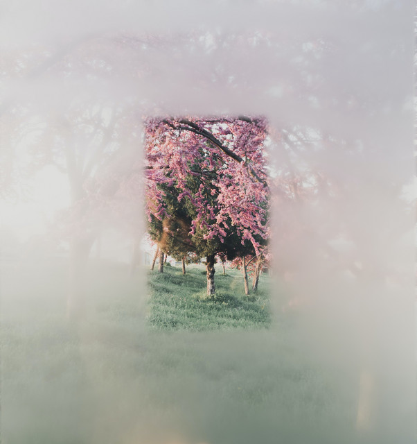 Music for Deep Relaxation | Mind Body and Spirit cover art