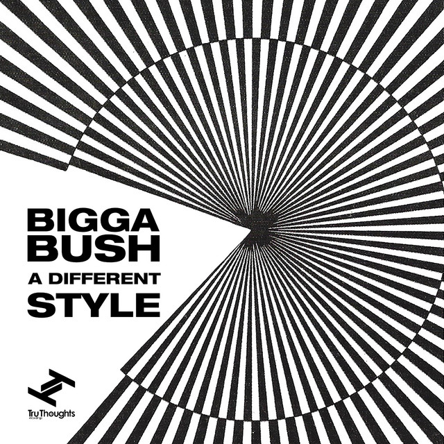 A Different Style cover art