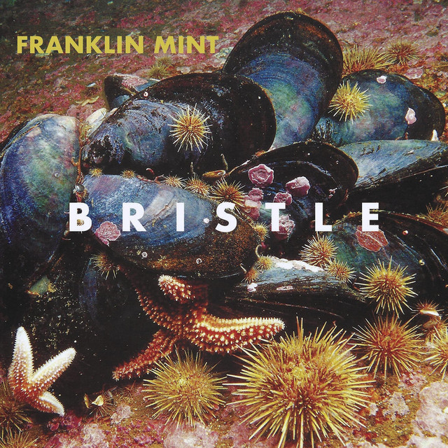 Bristle cover art