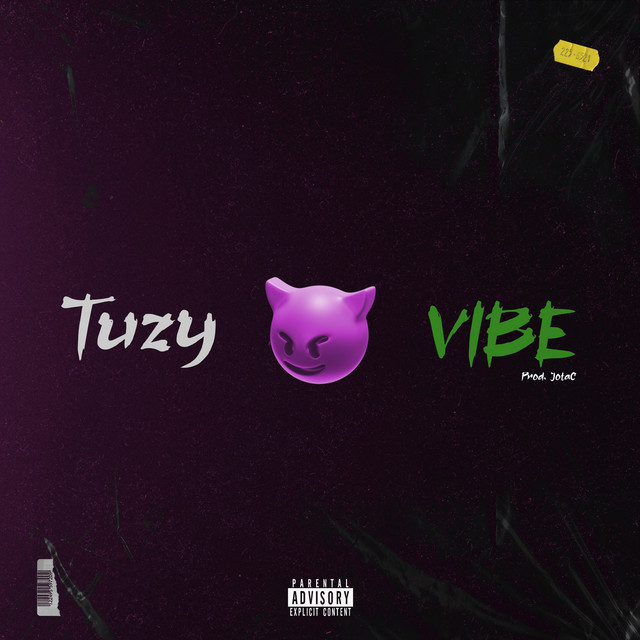 Vibe cover art