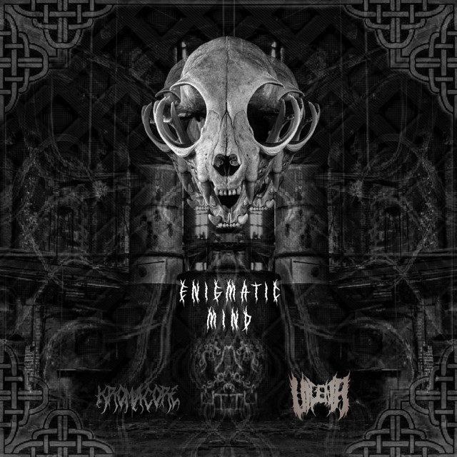 Enigmatic Mind 180 cover