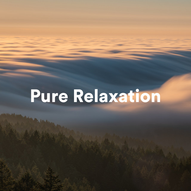 Pure Relaxation cover art