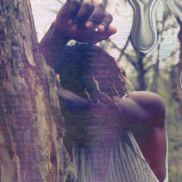 Trip Into Dreamscape cover art