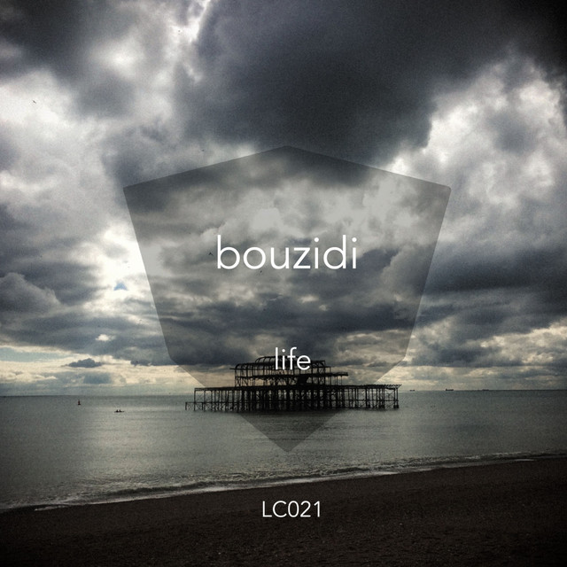 Life cover art