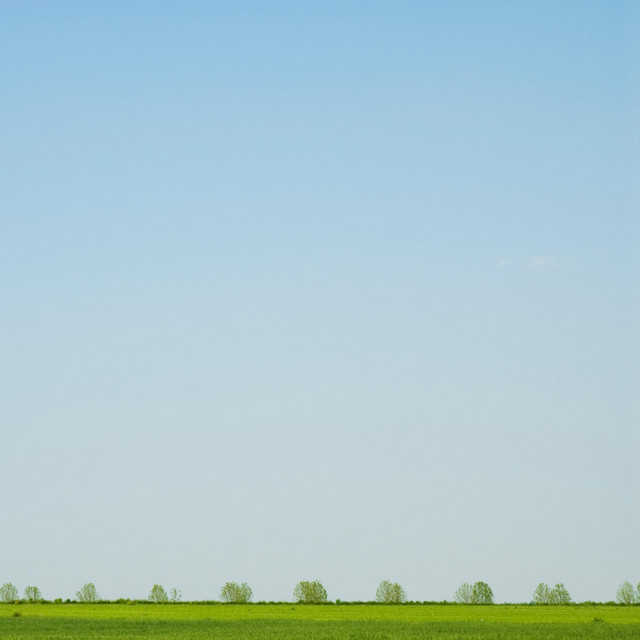 Spring (Revisited) cover