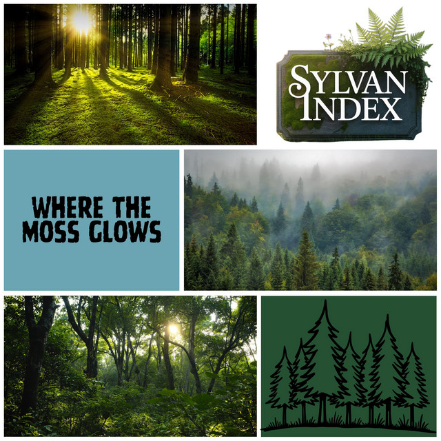 Where the Moss Glows