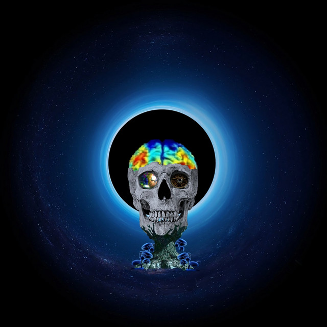 Rest cover art