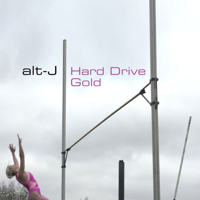 Hard Drive Gold cover art