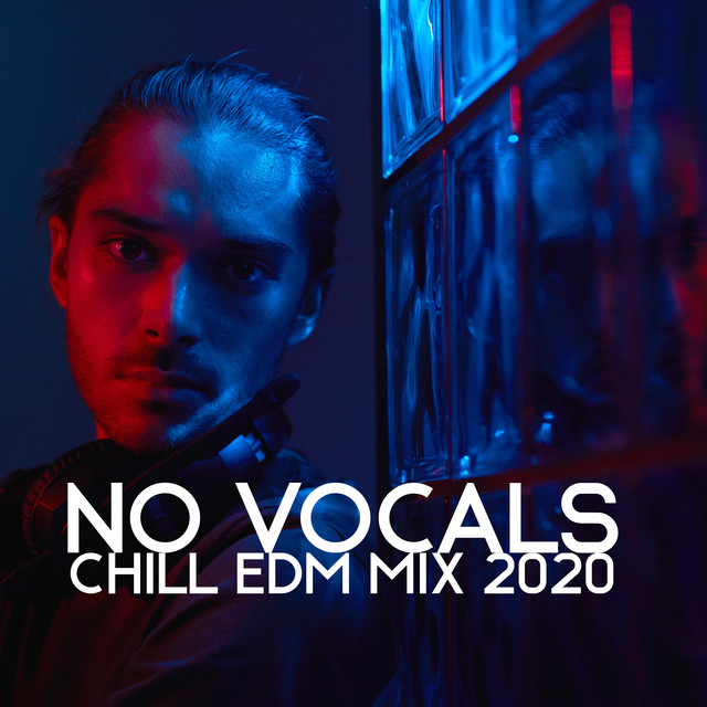 No Vocals cover art