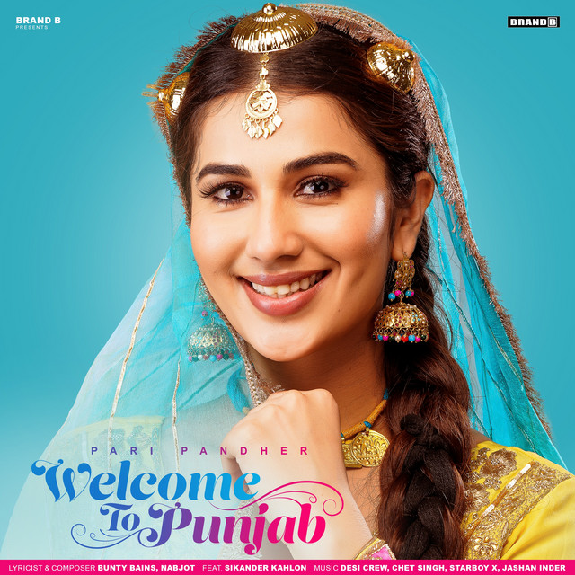 Welcome To Punjab album image