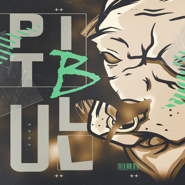 MEGA FUNK PITBULL DE RAÇA