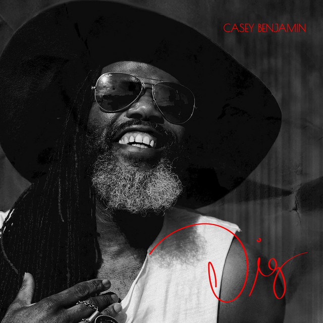 Dig cover art