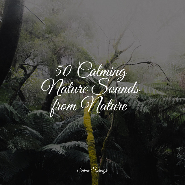 50 Calming Nature Sounds from Nature - Album by Soothing Chill Out for ...