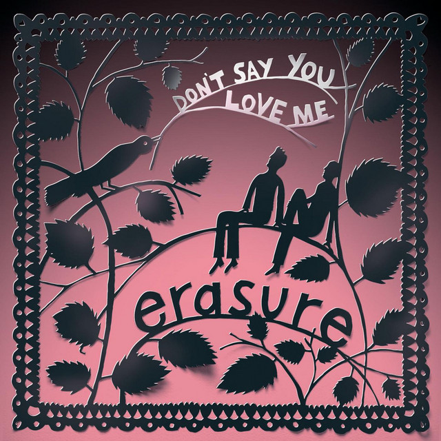 Dont Say You Love Me