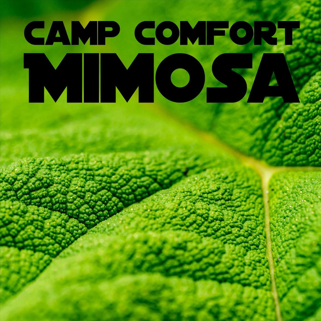 Mimosa cover art