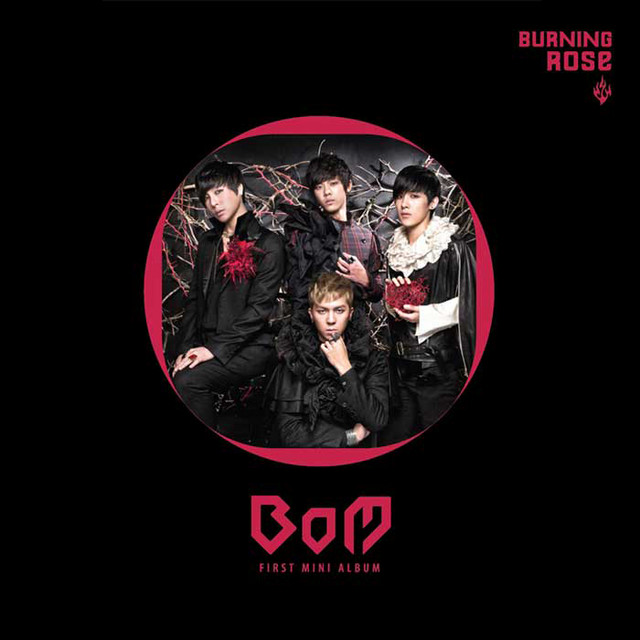 Burning Rose 타오르는 장미 cover art
