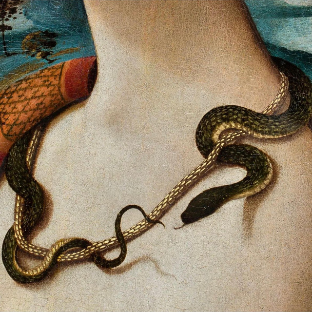other side cover art