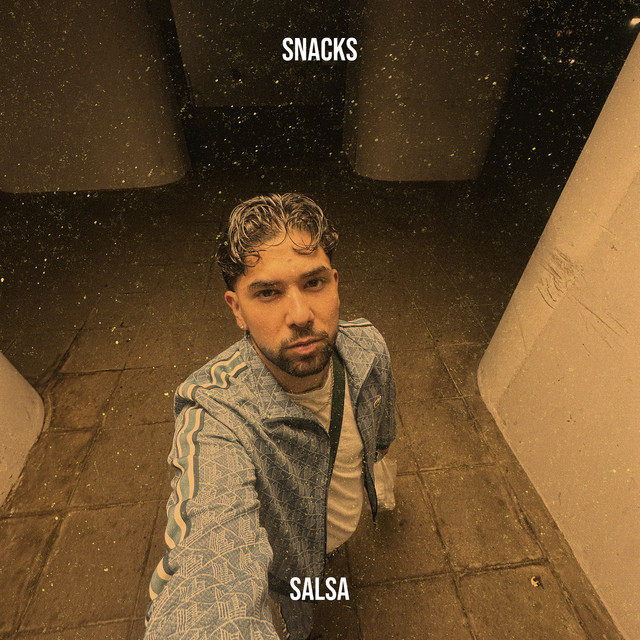 Snacks cover art