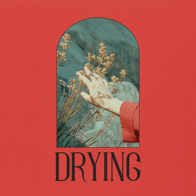 Drying cover art