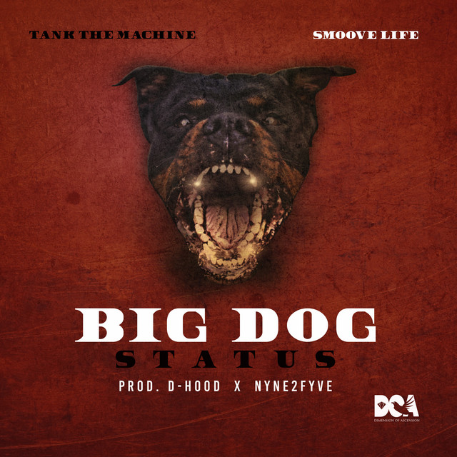 BIG DOG STATUS