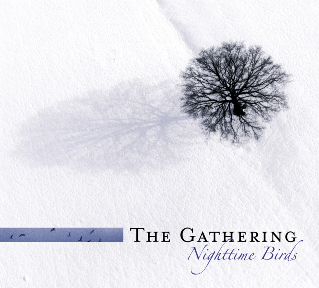 Nighttime Birds ( Re-issue + Bonus ) cover art