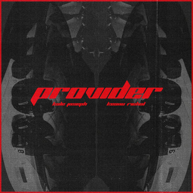 Provider
