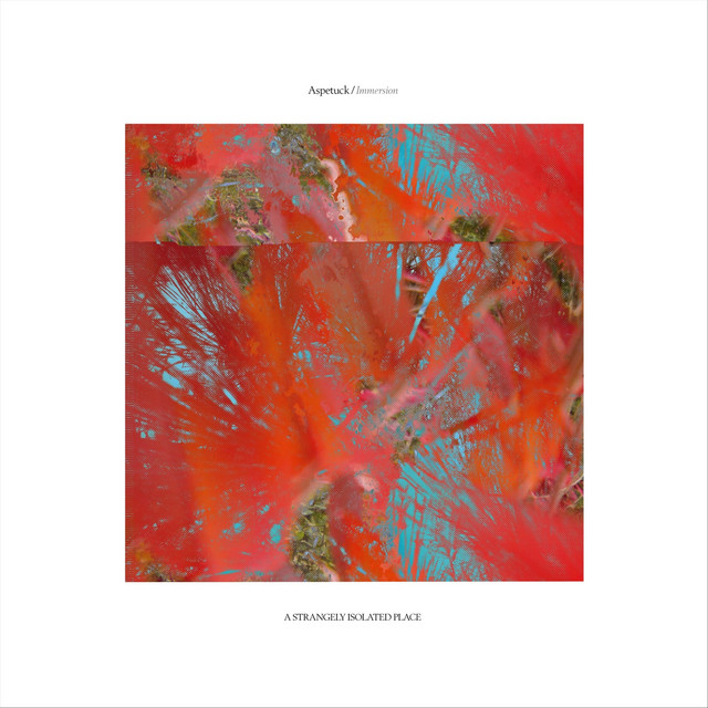 Immersion cover art