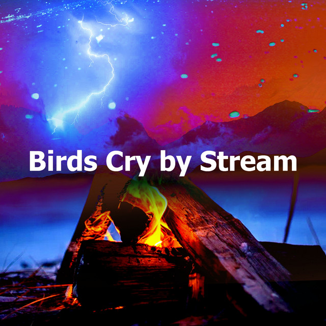 Birds Cry by Stream - Album by Pro Sound Effects Library | Spotify