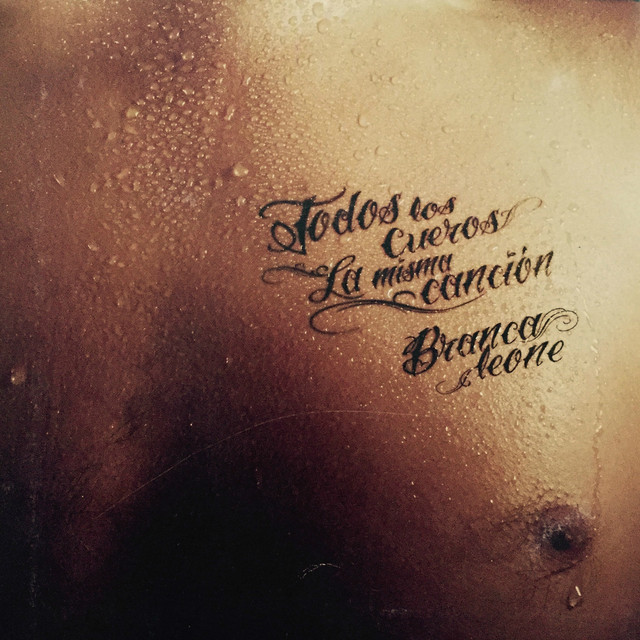 Todos los Cueros la Misma Canción cover art