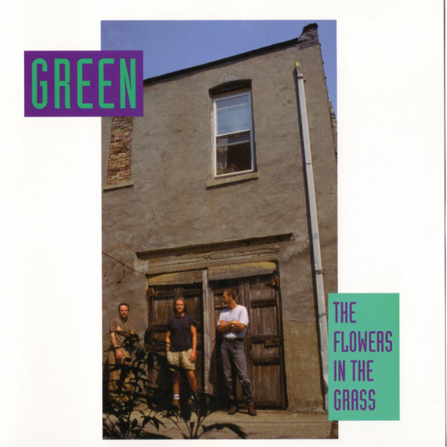 The Flowers in the Grass cover art