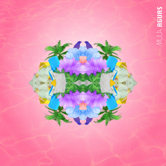 AGUAS cover art