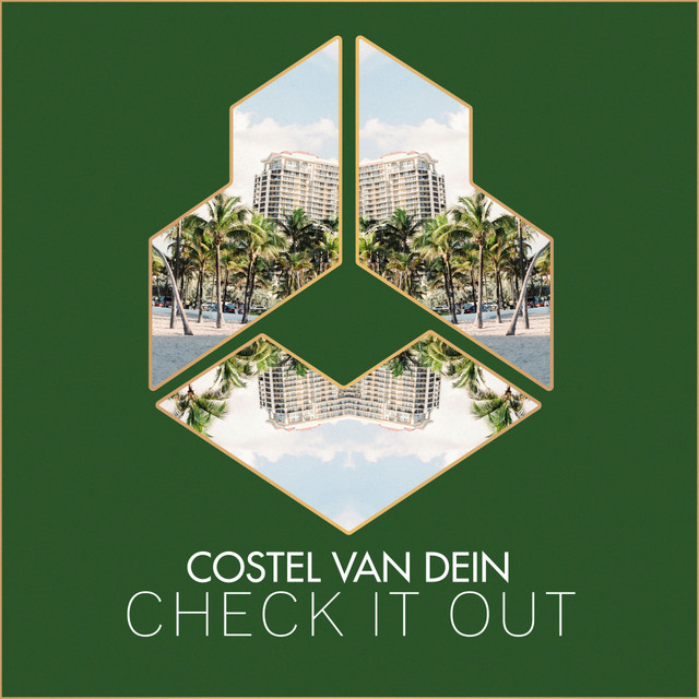 Обкладинка: Check It Out — Costel Van Dein