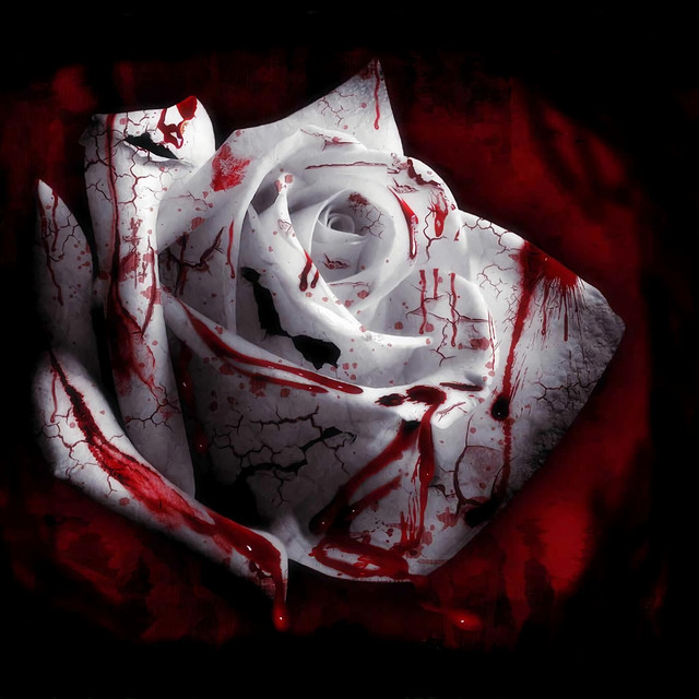 Do Not Resuscitate: The Album cover art