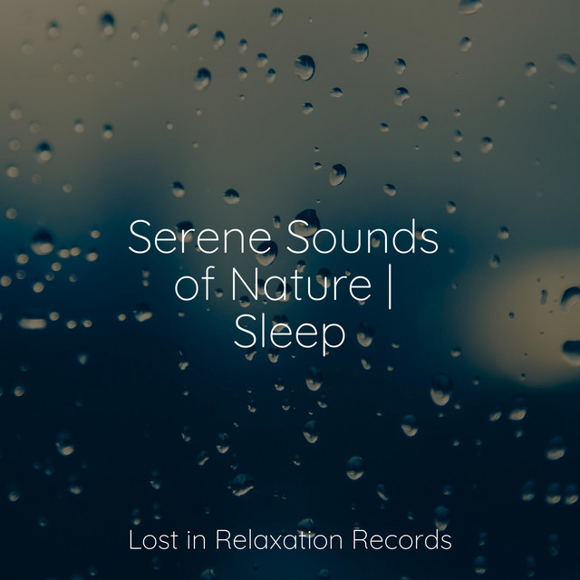 Serene Sounds of Nature | Sleep - Album by Música ambiental relajante ...