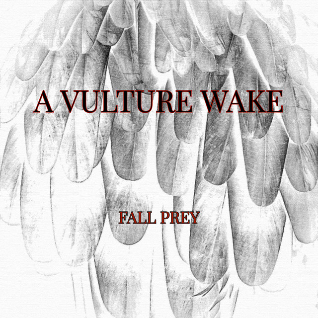 A Vulture Wake Photo