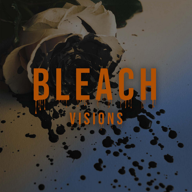 Bleach cover art