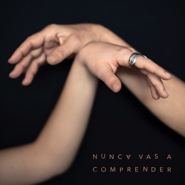 Nunca vas a comprender cover art