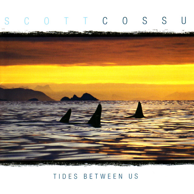 Tides Between Us cover art