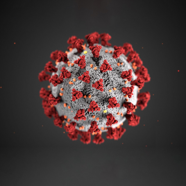 Corona Virus Anthem