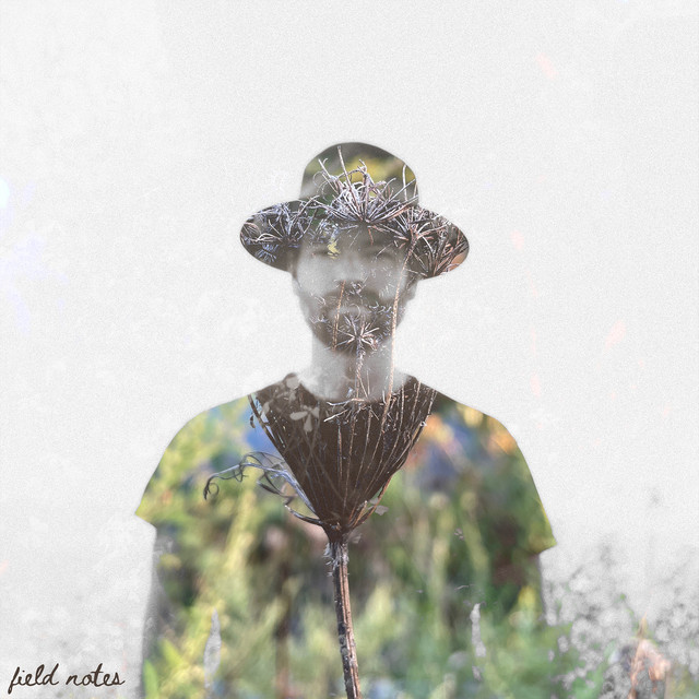 Field Notes cover art