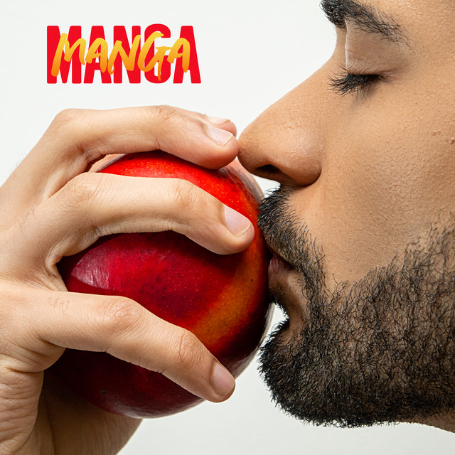 Manga cover art
