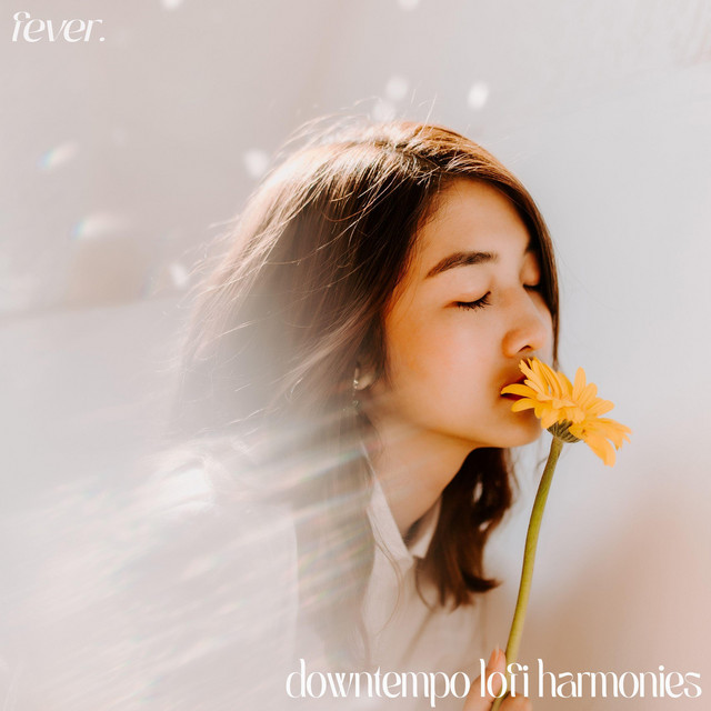 downtempo lofi harmonies cover art